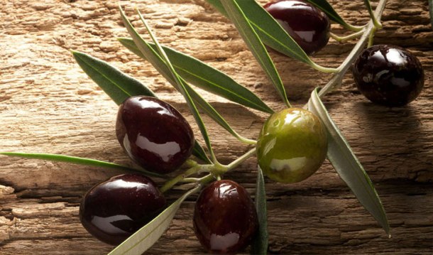 olive