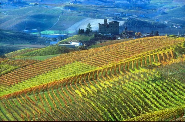 langhe