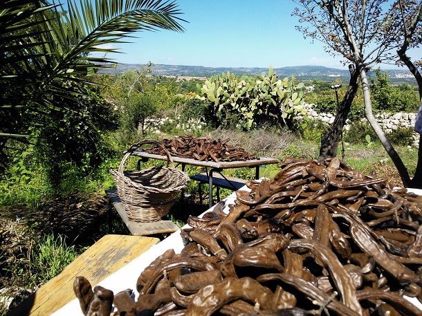 fondi comuitari agricoltura caleca