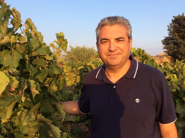 cerasuolo di vittoria vendemmia massimo maggio