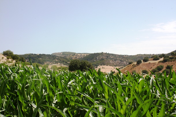 campagne ragusa siracusa