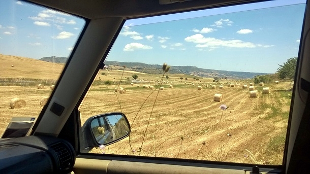 origano mele cotogne gelati viaggio negli ibleo