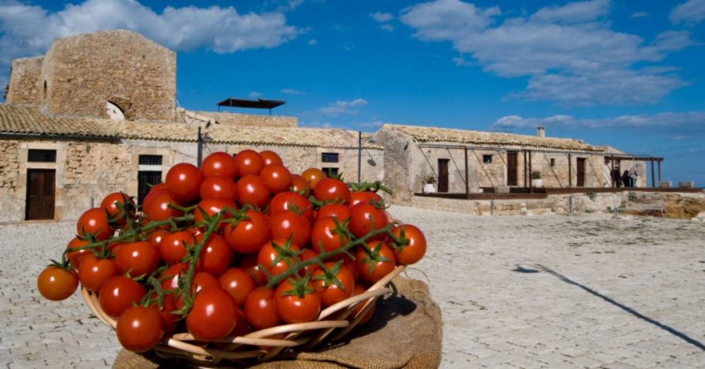 pomodorino di pachino i diari della caponata