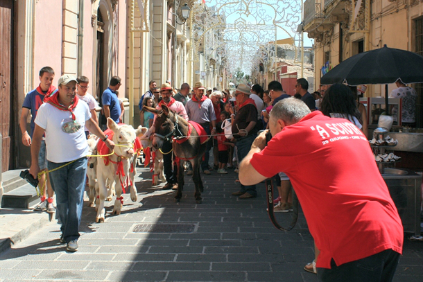 benedizione animali festa san paolo palazzolo acreide