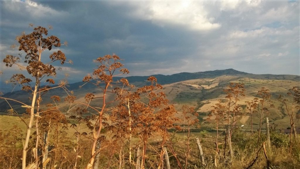 borgo fantasma sicilia i diari della caponata